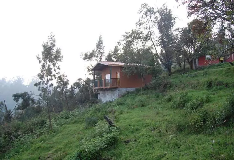ベッドアンドブレックファースト Surya Holidays Kodaikanal