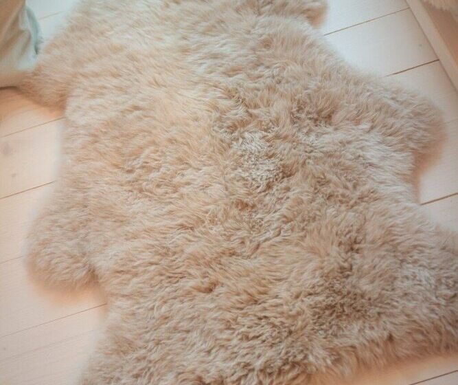 Hotel Arctic Treehouse