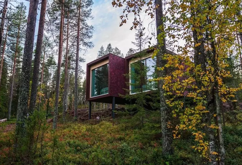 ホテル Arctic Treehouse
