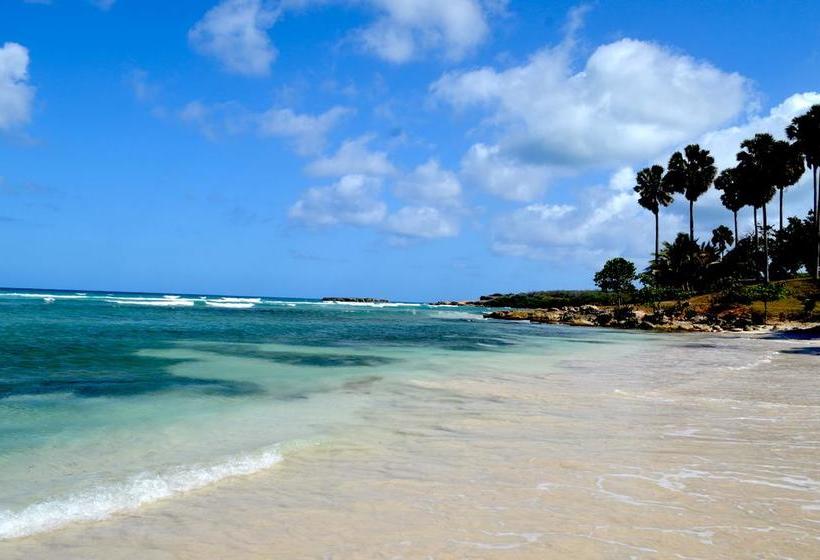 هتل La Saladilla Beach Club