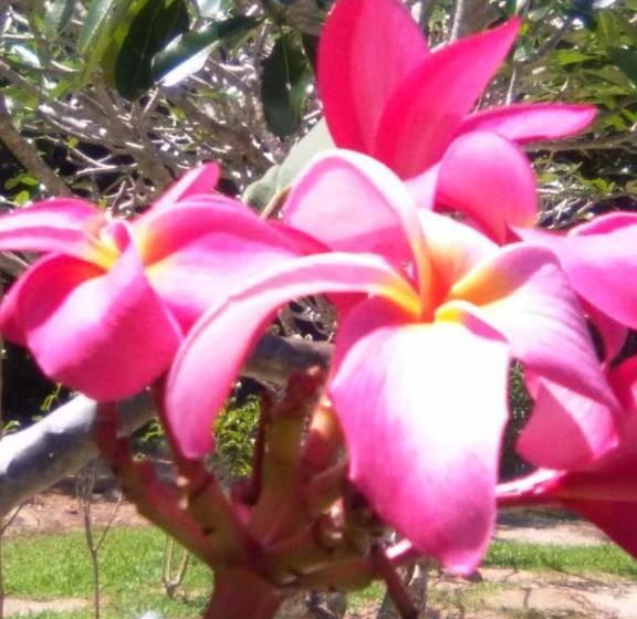 Reef Motel - Aitutaki