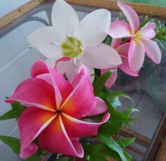 Reef Motel - Aitutaki