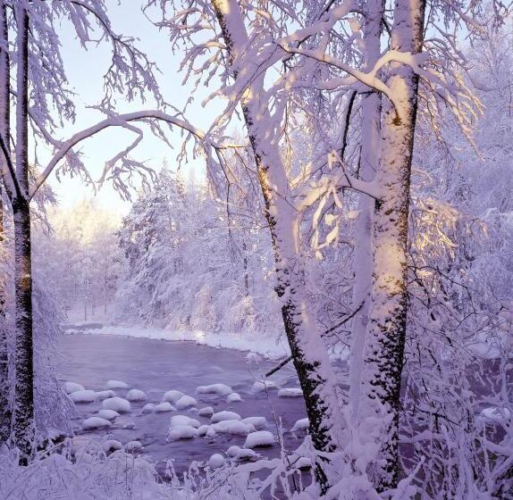 Tundrea Holiday Resort