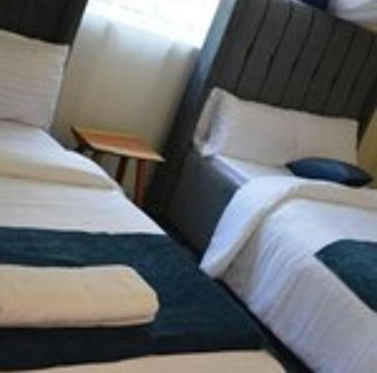 تختخواب و صبحانه Shiloh Homes And Travel Agency