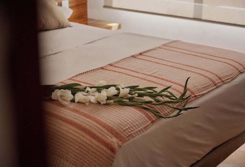 酒店 Casa Mosaicos