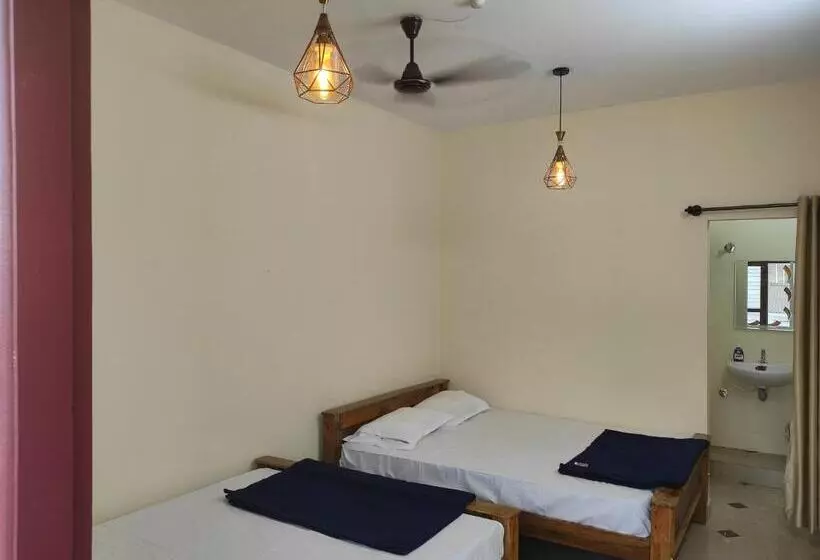 ユースホステル Nest Inn Service Rooms