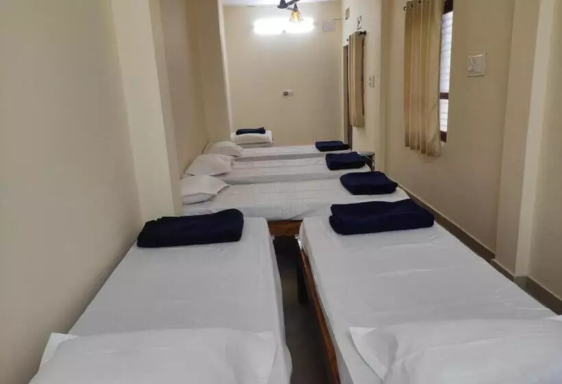 ユースホステル Nest Inn Service Rooms
