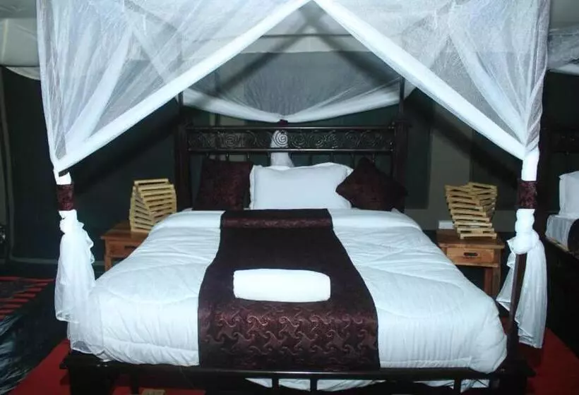 ホテル Robin Safari Camp Serengeti