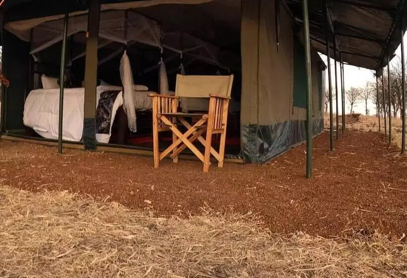 ホテル Robin Safari Camp Serengeti