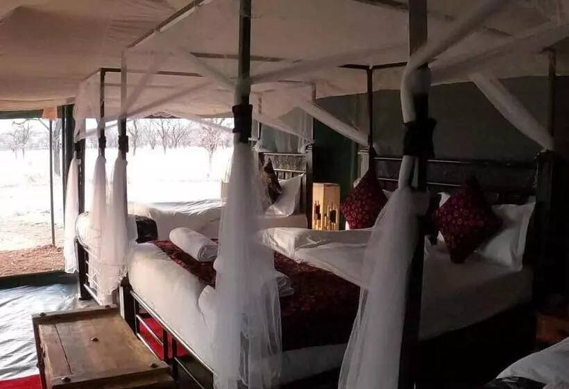 ホテル Robin Safari Camp Serengeti