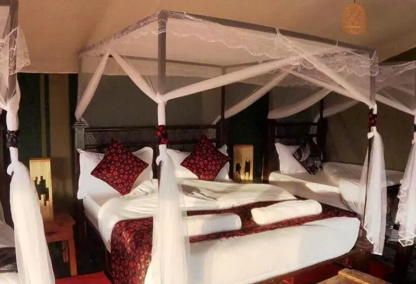 ホテル Robin Safari Camp Serengeti