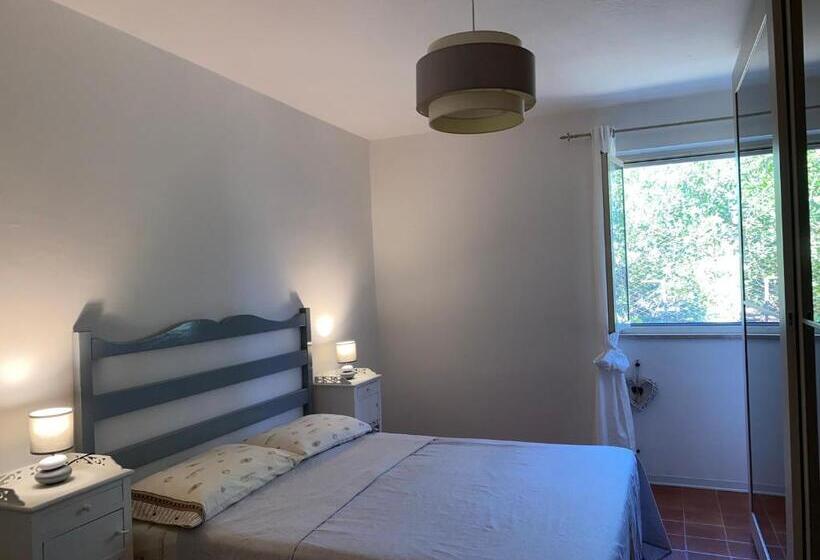 پانسیون Casa Cabana Camera Matrimoniale Media