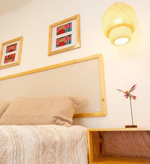 膳宿费 Casa Cataleya