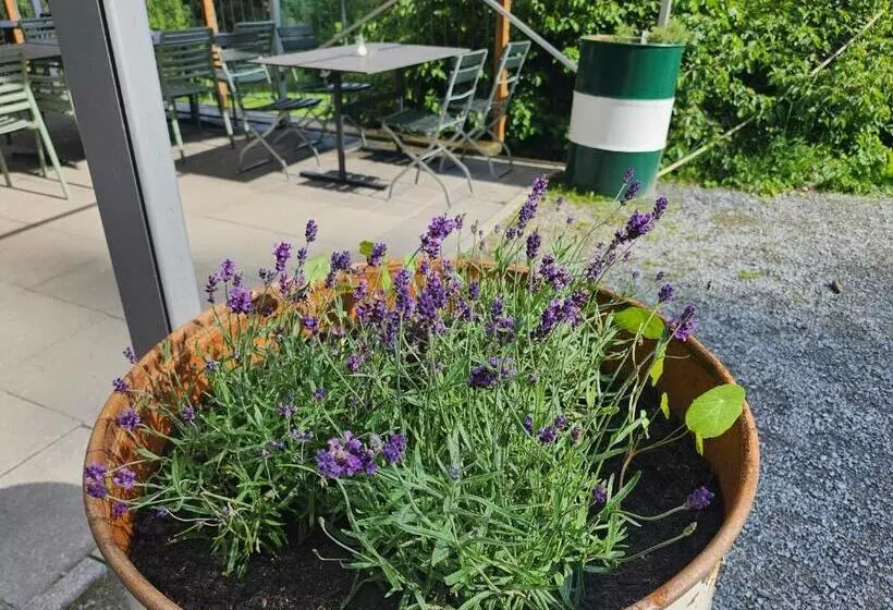 Retkeilymaja Gasthaus Crestasee