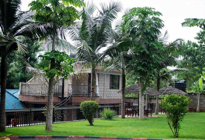 ユースホステル Wonderland Home