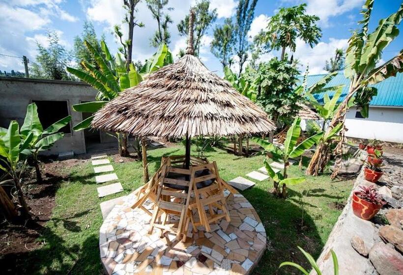 ユースホステル Wonderland Home