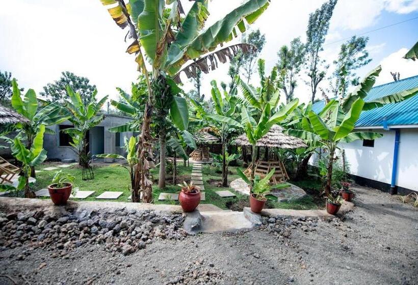 호스텔 Wonderland Home