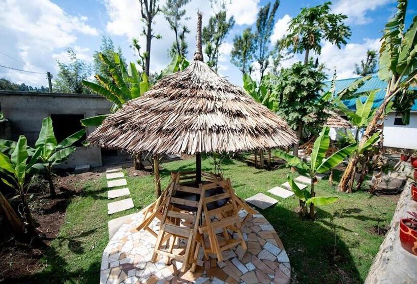 ユースホステル Wonderland Home