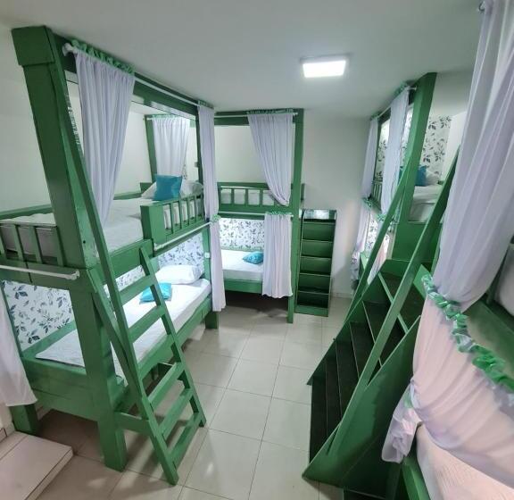 Amazon Check In Hostel Manaus Amazonas