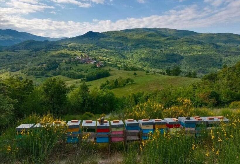 ベッドアンドブレックファースト Gran Severino