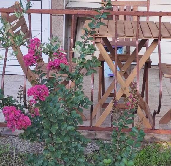 بنسيون къща за гости прохлада