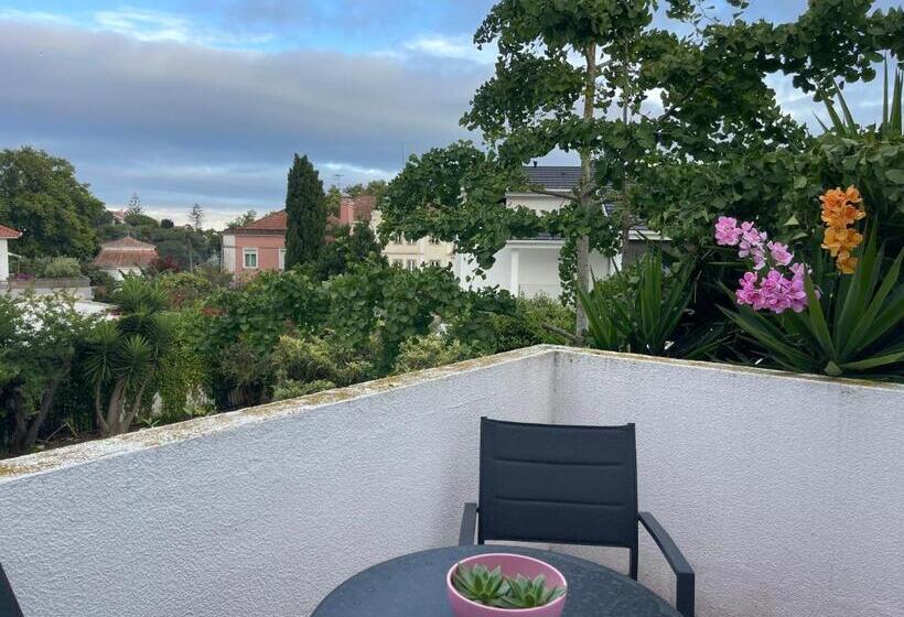 پانسیون Aomo Art Space Hostel