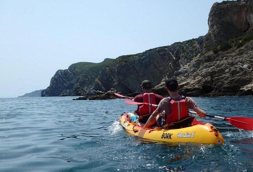 پانسیون Aomo Art Space Hostel