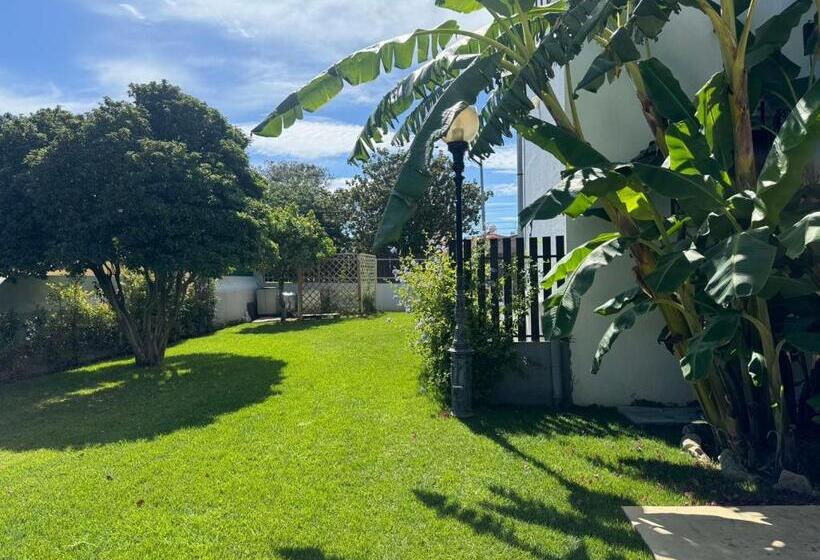 پانسیون Aomo Art Space Hostel