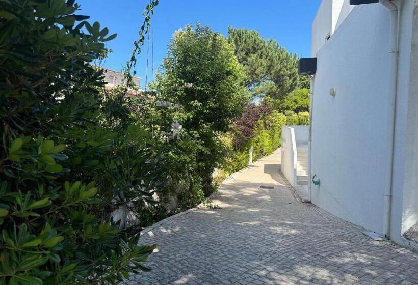 پانسیون Aomo Art Space Hostel