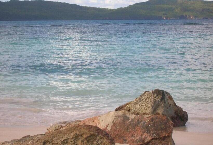 تختخواب و صبحانه Casa Por Que No