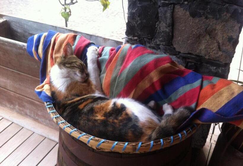 تختخواب و صبحانه Villa Morabeza Guest House