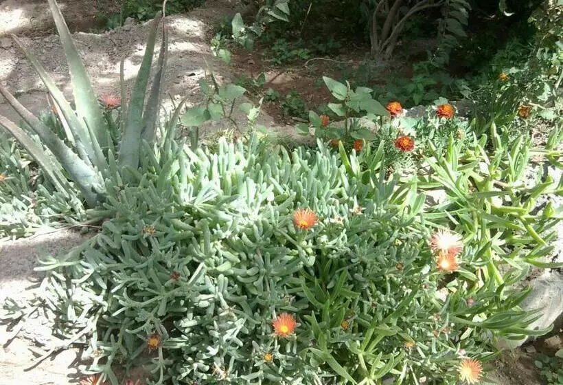 تختخواب و صبحانه Villa Morabeza Guest House