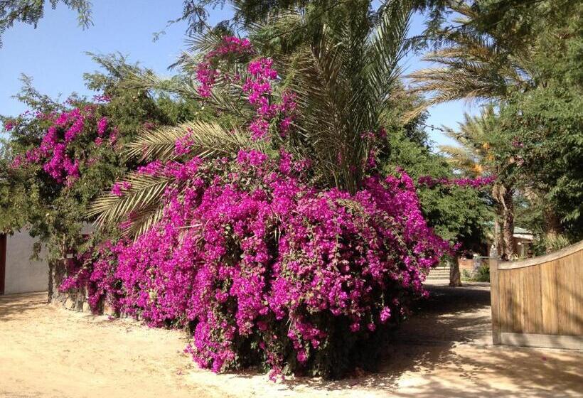 تختخواب و صبحانه Villa Morabeza Guest House