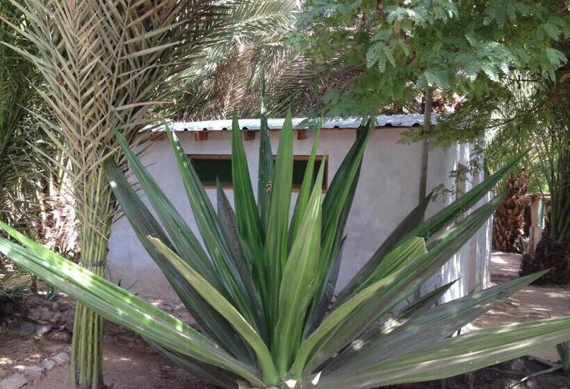 تختخواب و صبحانه Villa Morabeza Guest House