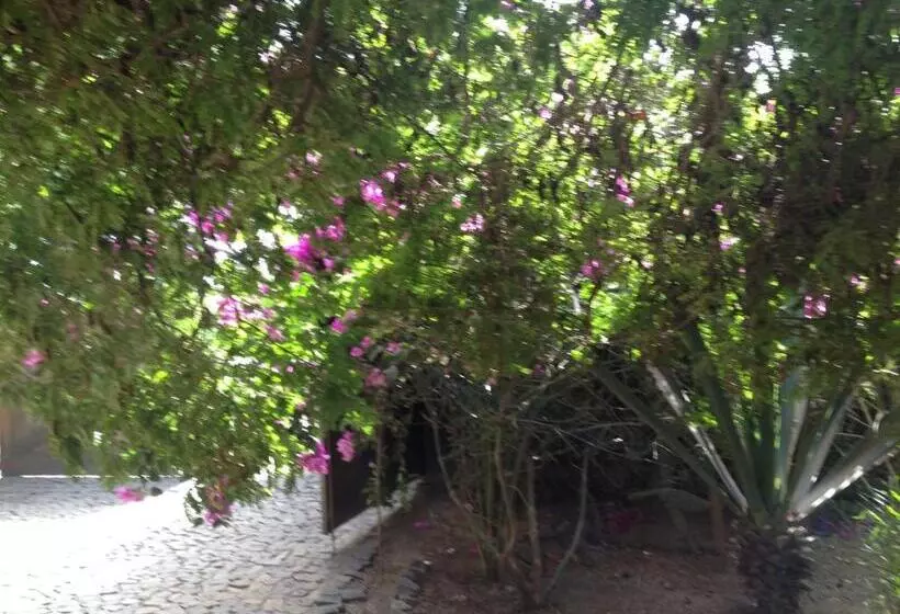 تختخواب و صبحانه Villa Morabeza Guest House