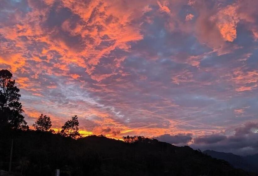 Bed and Breakfast White Home