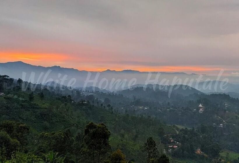 Bed and Breakfast White Home