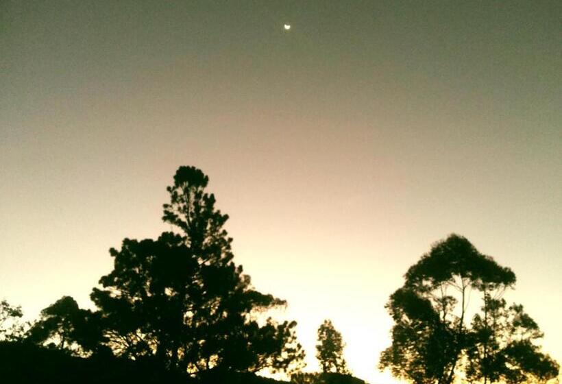 Bed and Breakfast White Home