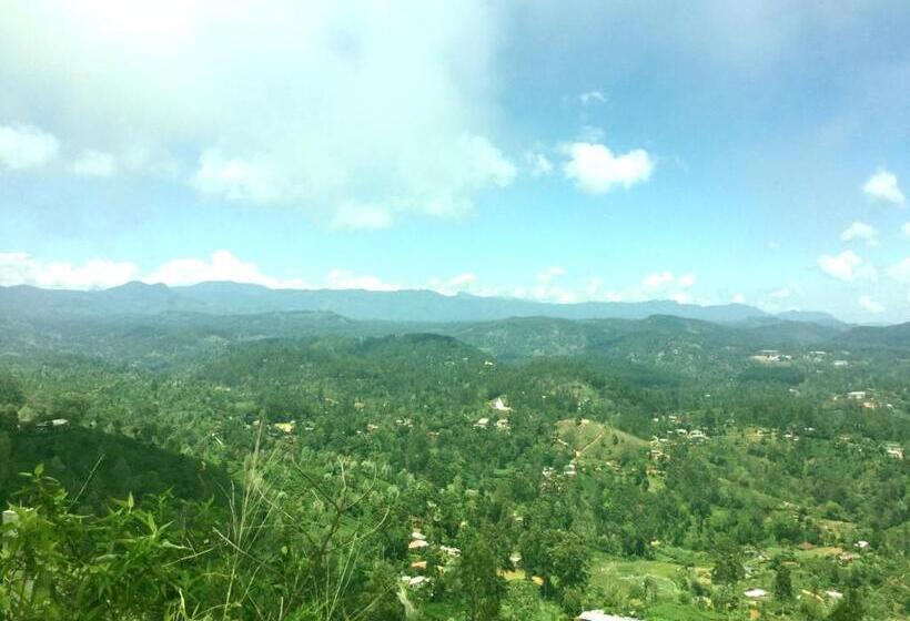 Bed and Breakfast White Home