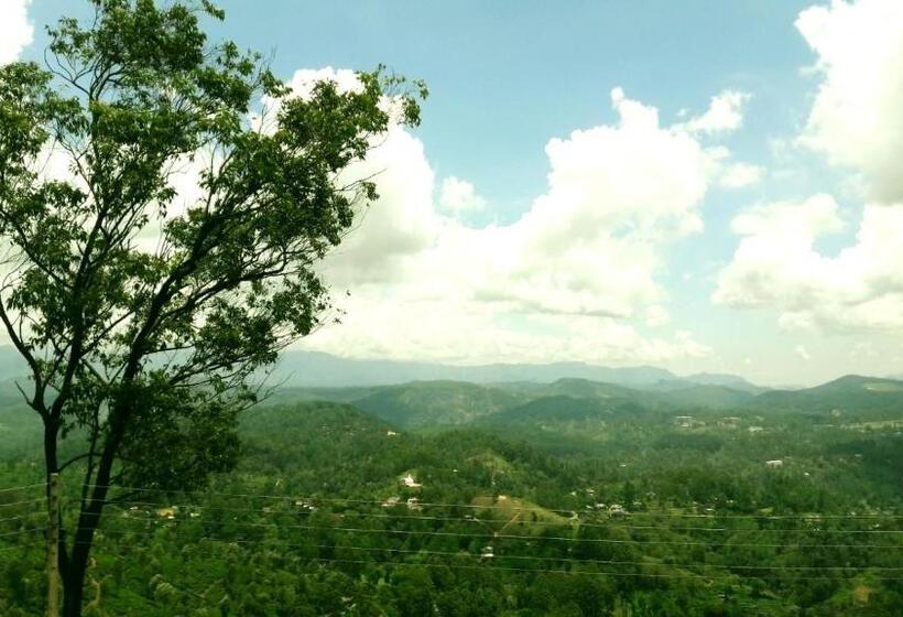 Bed and Breakfast White Home