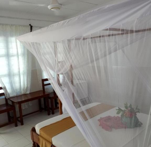 호텔 Paradise Beach Bungalows