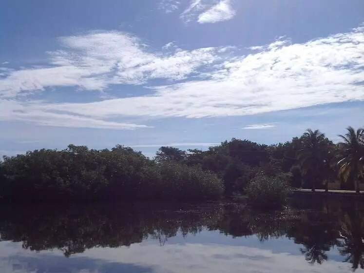 Sailfish Resort