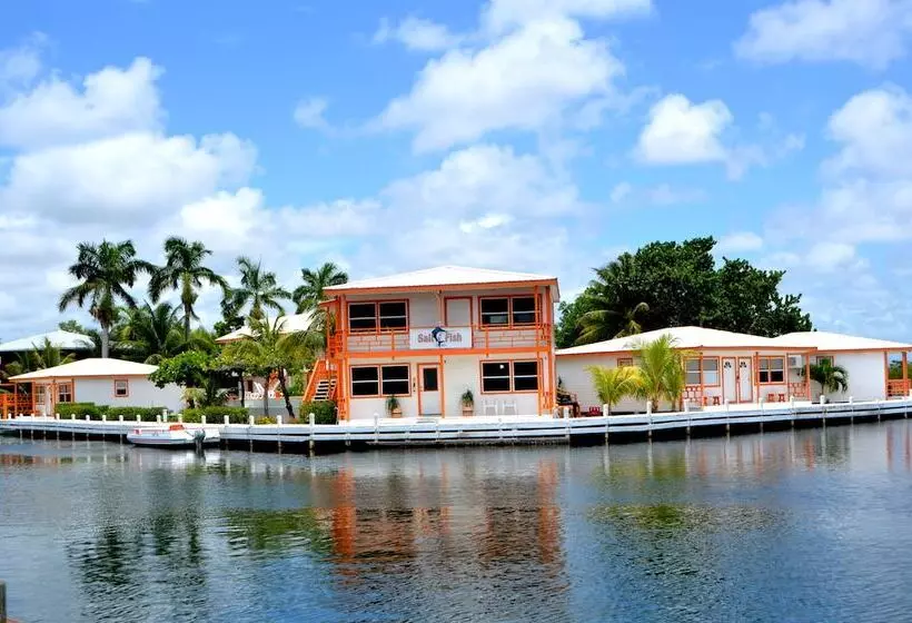 Sailfish Resort