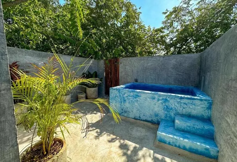 Retkeilymaja Room Cuzama Disfruta De Este Paraiso