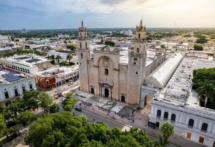 Retkeilymaja Room Cuzama Disfruta De Este Paraiso