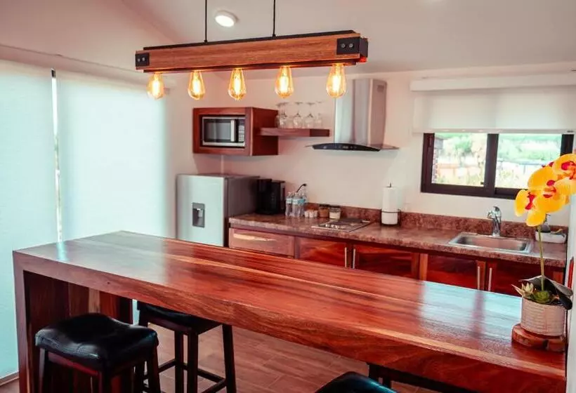 Hotelli Casa 7 By 7 Valles