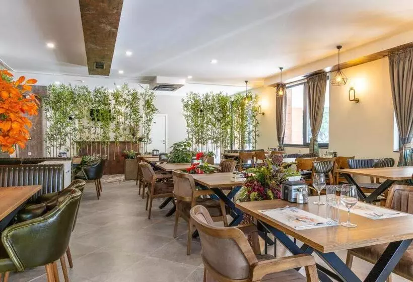 هتل Domenic Free Parking