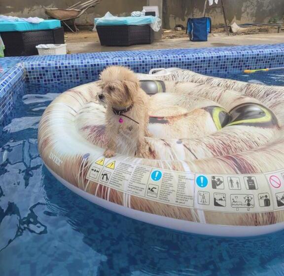 پانسیون The White House In Yassa