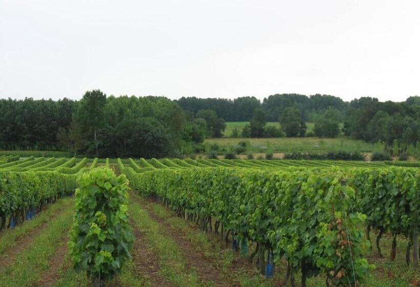 Bed and Breakfast Ferme De Chez Piché