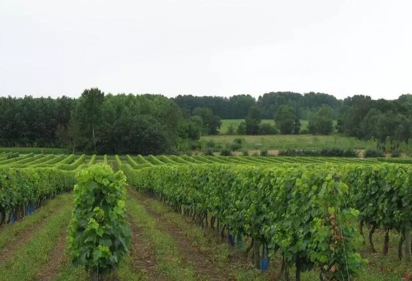 ベッドアンドブレックファースト Ferme De Chez Piché